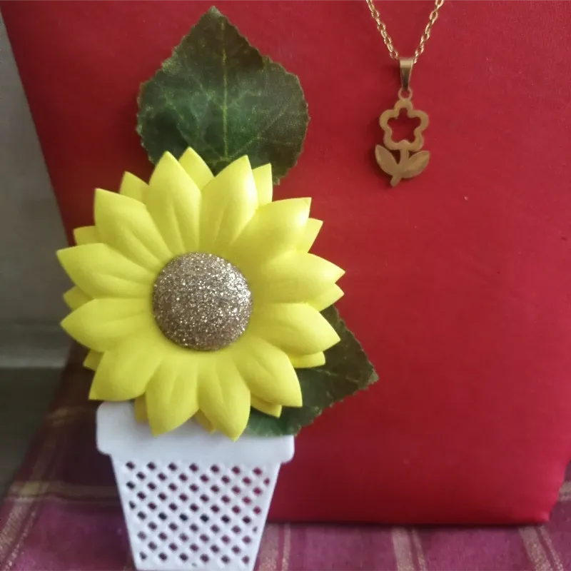 Imán girasol