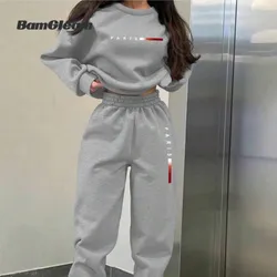 Conjunto de mono gris