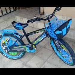 Bicicleta Aro 20