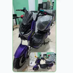 Motorina IZUKI/VIOLAXS