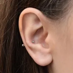 Conch