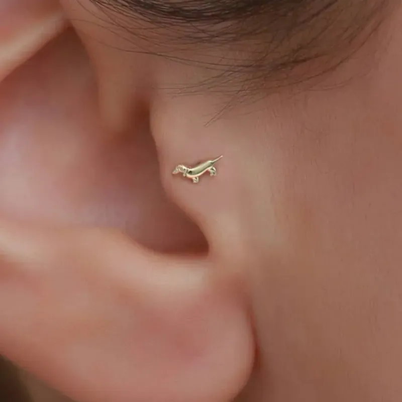 Piercing para la Ansiedad-Tragus Piercing