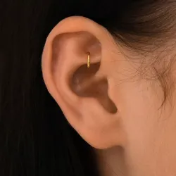Rook