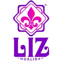 Liz Manualidades