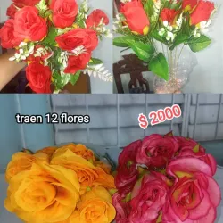 Flores 