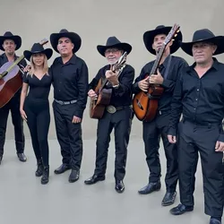 GRUPO VARIADO 