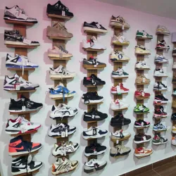 Variedad de tenis de marca