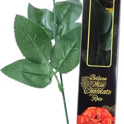 Belgian Milk Chocolate