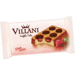 Villani