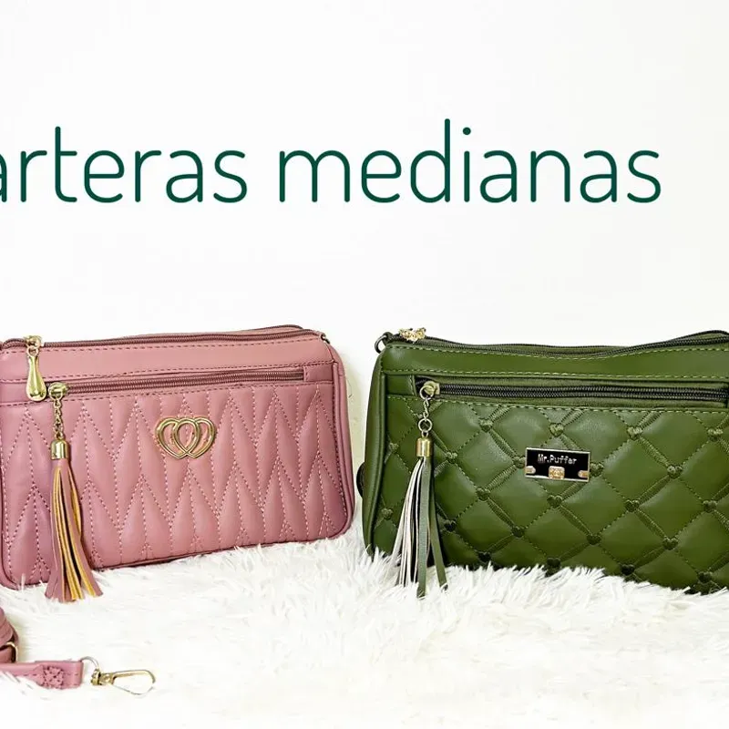 Carteras medianas