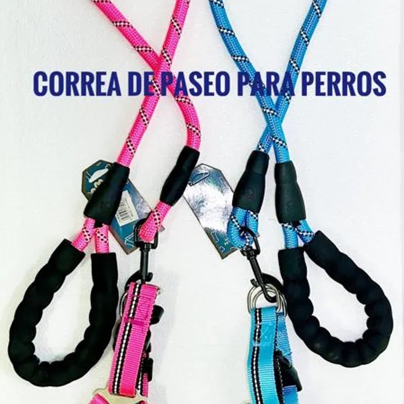 Correas para mascotas 