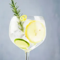 Gin Tonic