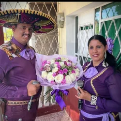 Mariachis 