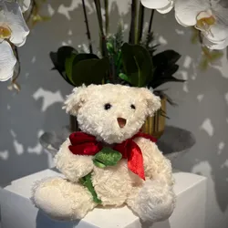 Peluche 