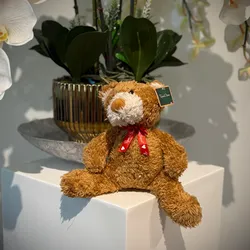 Peluche 