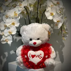 Peluche 