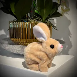 Peluche 