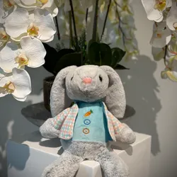 Peluche 