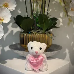 Peluche 