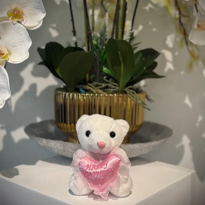 Peluche 