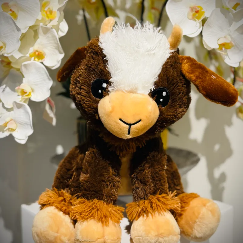 Peluches 