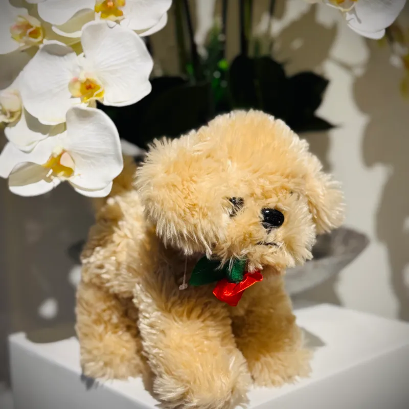 Peluches 