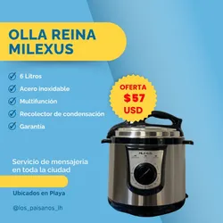 Olla reina milexus