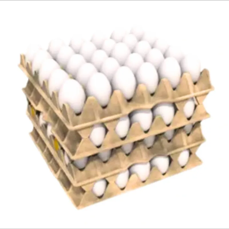 Cartón de Huevos 🥚 