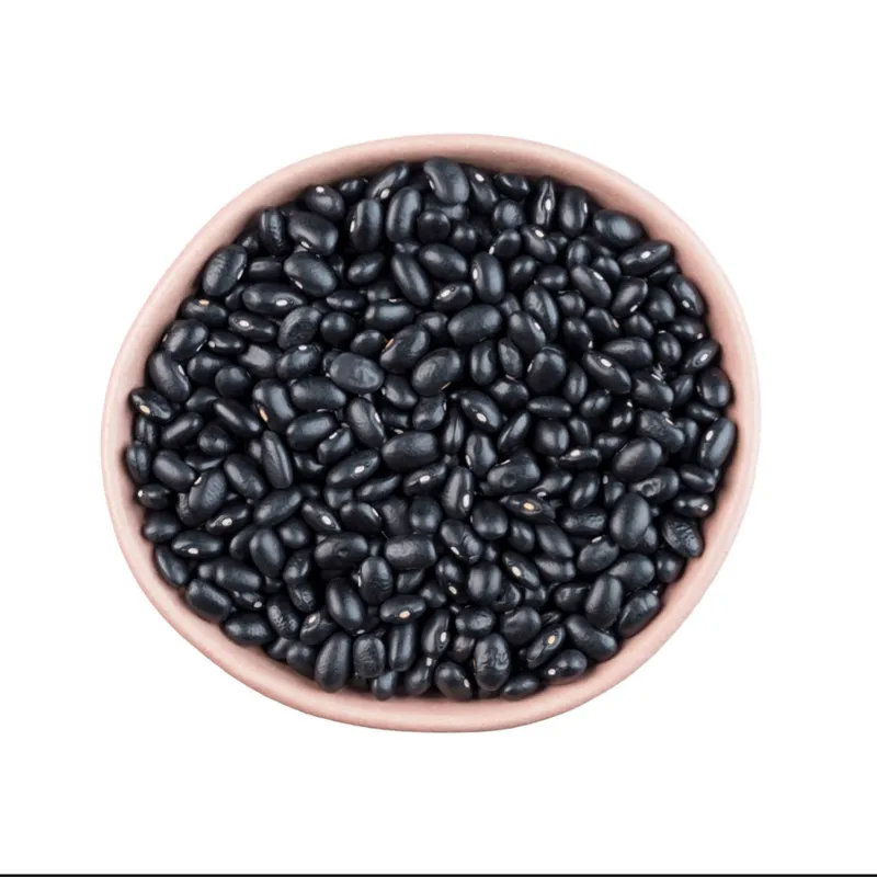FRIJOLES NEGROS DE IMPORTACIÓN 