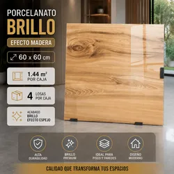 Azulejo Porcelanato 60x60
