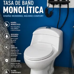 Sanitario Blanco monolítico