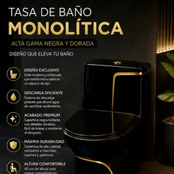 Sanitario Negro monolítico 