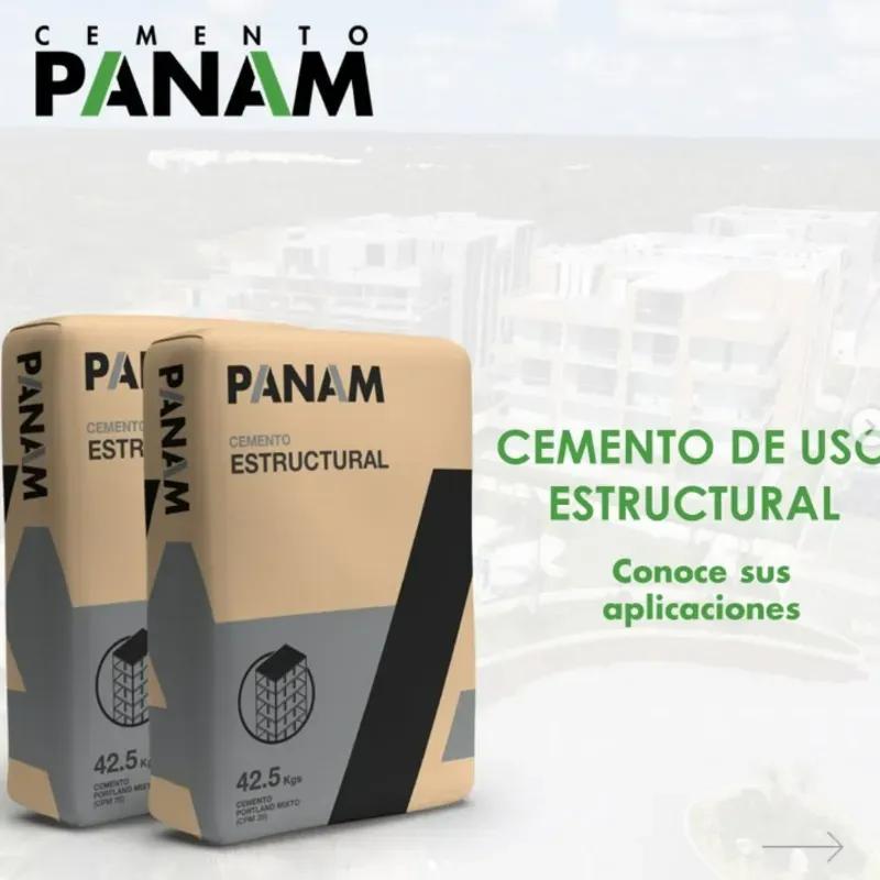 Cemento Estructural P450 PANAM 42.5Kg