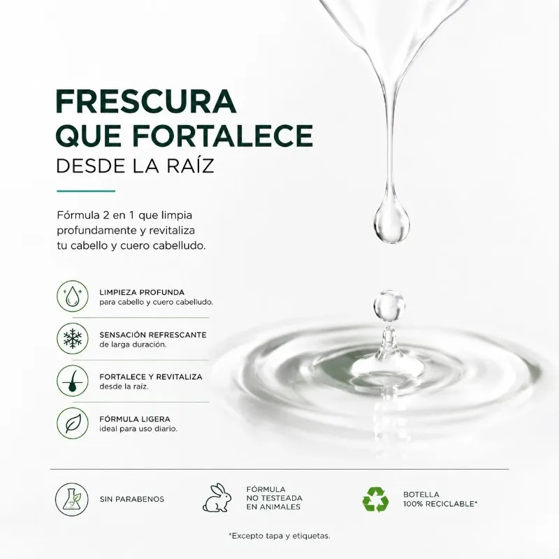 Garnier Fructis Ice Force 2 en 1