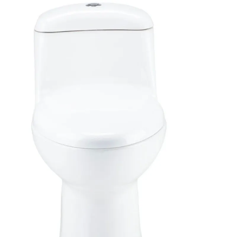 Sanitario Monolitico Smart