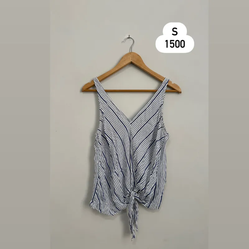 Blusa