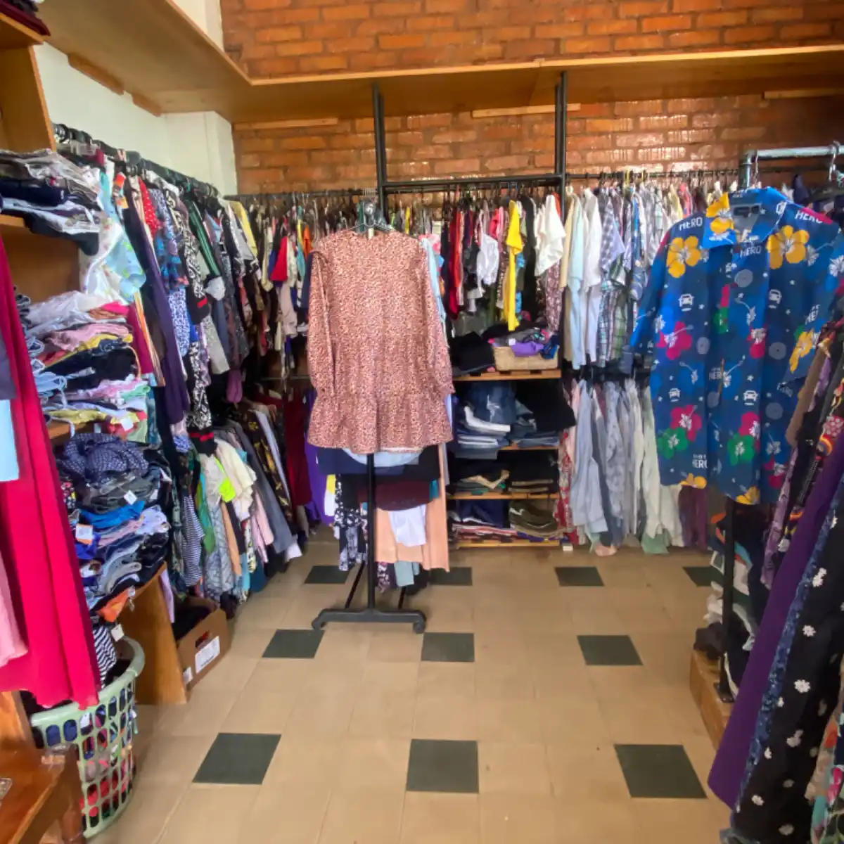 Louh Segunda Oportunidad