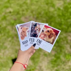 Foto polaroid calendario 