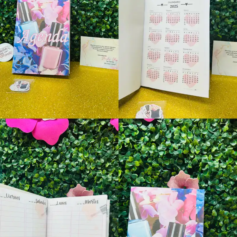 Agenda Manicury 
