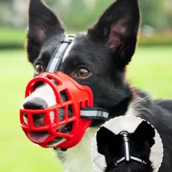 Bozal para perros TALLA 5