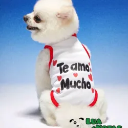 Camiseta para mascotas