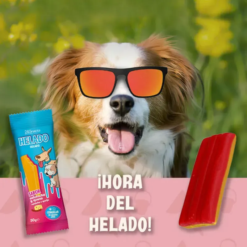 Helados Snaks para perros 🐕