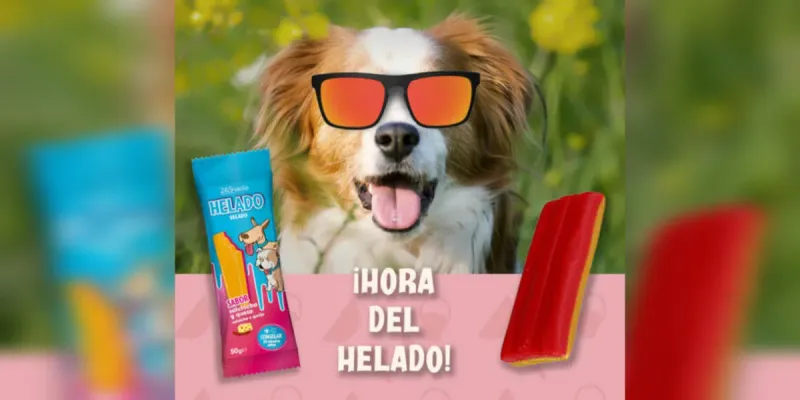 Helados Snaks para perros 🐕