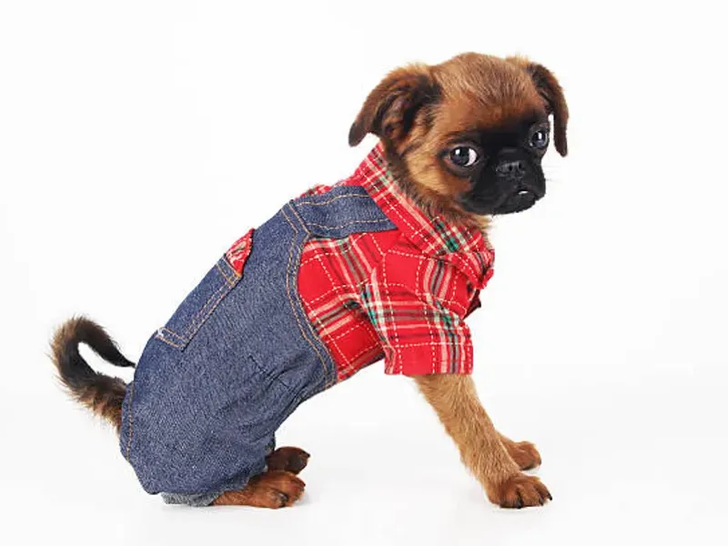 Ropa para Mascotas