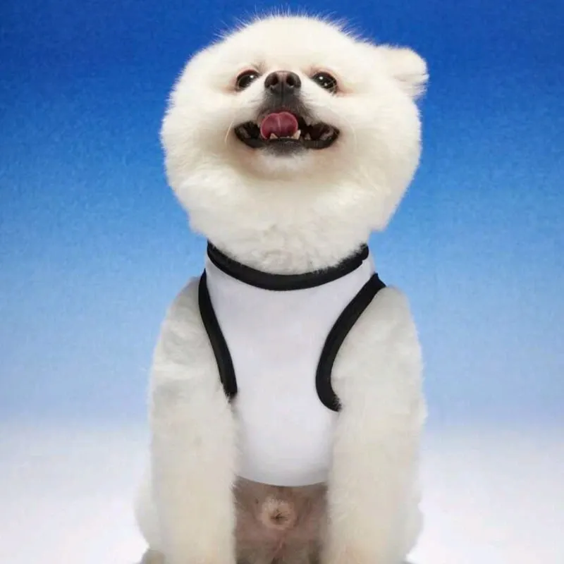 Camiseta para mascota