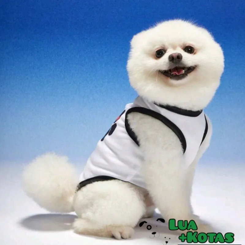 Camiseta para mascota