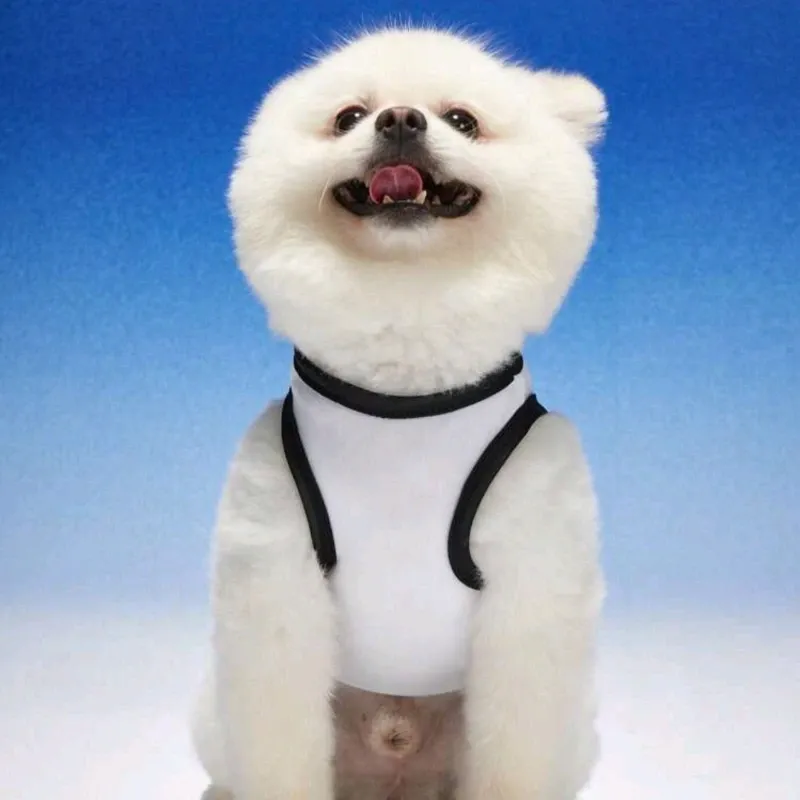 Camiseta para mascota S