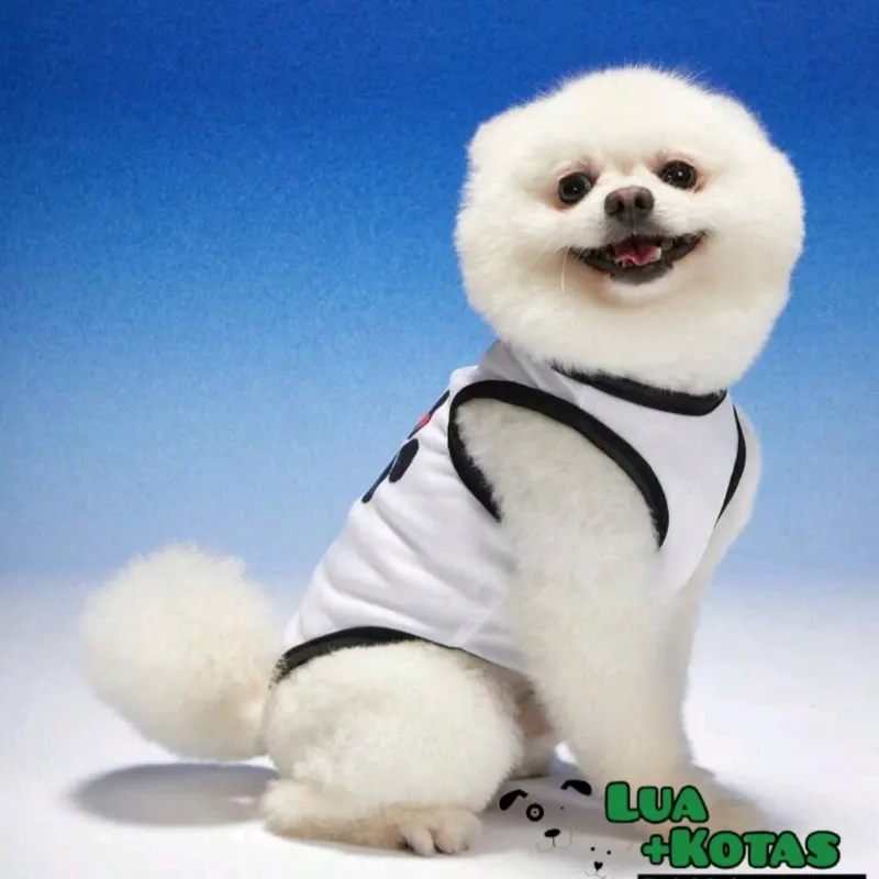 Camiseta para mascota S