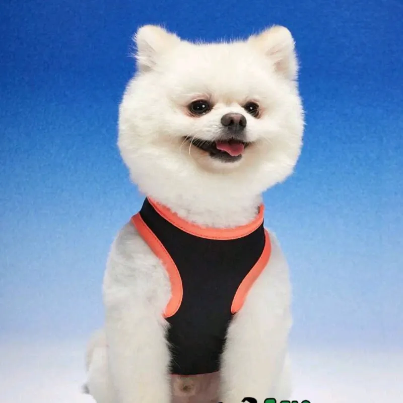 Camiseta para mascota