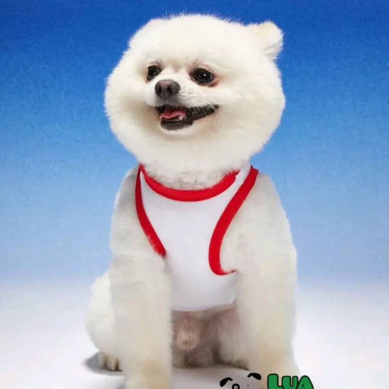 Camiseta para mascotas